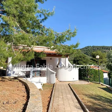 Le Macine Pugnochiuso Holidays Сasa de vacaciones Vieste