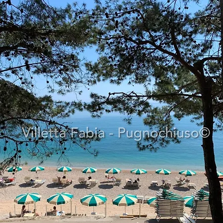 Le Macine Pugnochiuso Holidays Сasa de vacaciones Vieste