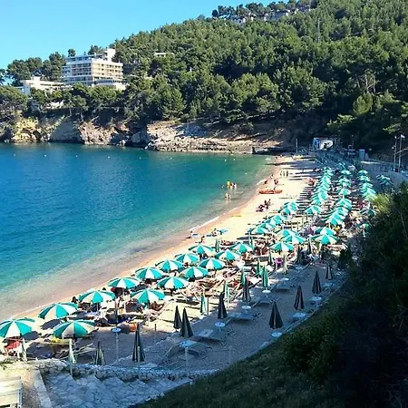 Le Macine Pugnochiuso Holidays Casa vacanze *