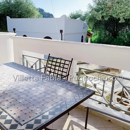 Le Macine Pugnochiuso Holidays * Vieste
